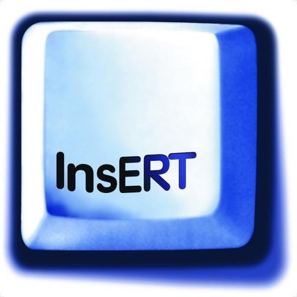 Licencja ESD InsERT - Gratyfikant GT rozszerzenie zwykłe o 5 podmiotów – dla biura rachunkowego