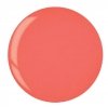 Puder do manicure tytanowy - Cuccio dip 14G - Pastel peach (5587)