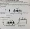 Ogrodzenie elektryczne na ślimaki Snailstop - gotowy zestaw