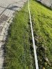 Siatka WildNet - ochrona przed dzikami - 50m x 90cm 