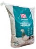 Gołąb Premium Purina granulat 20kg