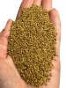Lucerna ziarno 1kg