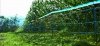 Siatka WildNet - ochrona przed dzikami - 50m x 90cm 