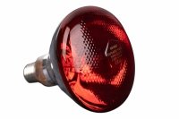 Żarówka, promiennik podczerwieni, 175 W, czerwona, Can Agri 