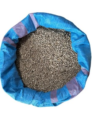 Łubin słodki 1kg