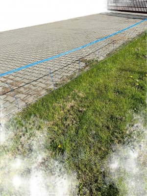 Siatka WildNet - ochrona przed dzikami - 50m x 90cm 