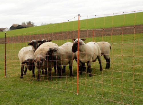 Siatka elektryczna dla owiec TopLine Net, poj. szpic, 50m x 90cm