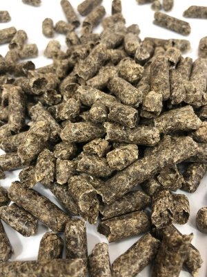 Wysłodki niskomelasowane dla koni, bydła, owiec, kóz 1kg