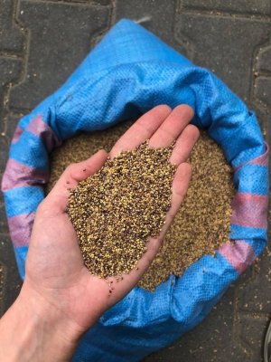 Koniczyna czerwona 1kg