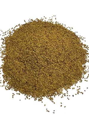 Lucerna ziarno 1kg