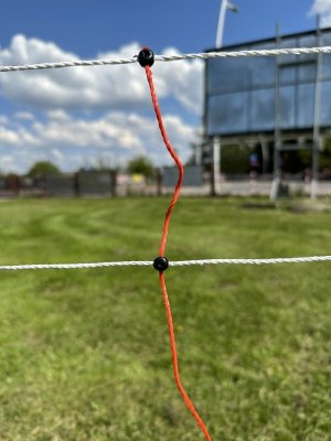 Siatka elektryczna dla owiec TopLine Net, poj. szpic, 50m x 90cm