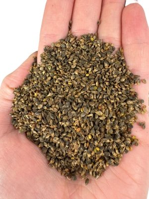 Nostrzyk biały 1kg