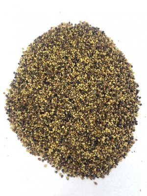 Koniczyna czerwona 1kg