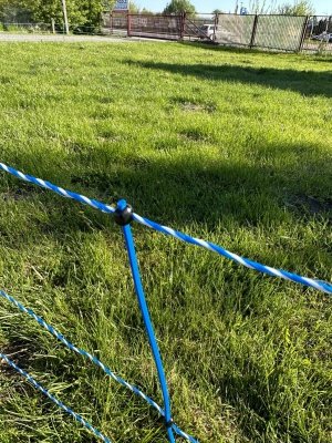 Siatka WildNet - ochrona przed dzikami - 50m x 90cm 