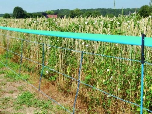 Siatka WildNet - ochrona przed dzikami - 50m x 90cm 