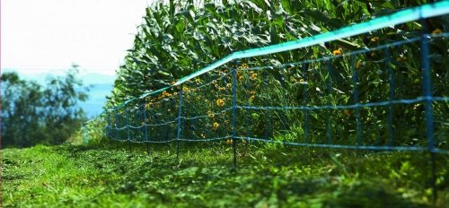 Siatka WildNet - ochrona przed dzikami - 50m x 90cm 