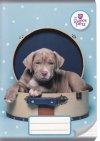 4x Zeszyt A5 w linię 32 kartki THE SWEET PETS KOTEK PIESEK (112600SET4CZ)