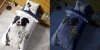 ZESTAW 2 el. Pościel świecąca w ciemności HOLLAND COLLECTION Piesek DOG 140 x 200 cm + RĘCZNIK (4088ASET2CZ)