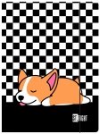 Teczka rysunkowa A4 z gumką ST.RIGHT piesek, SLEEPY CORGI (69958)