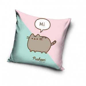 Poduszka jasiek 40 x 40 PUSHEEN Kot Kotek (PTC213002)
