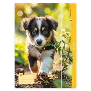 Teczka rysunkowa A4 z gumką ANIMALS PIESEK Herlitz (80501)