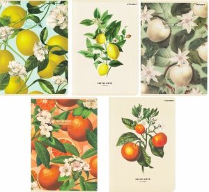 5x Zeszyt A5 60 kartek w kratkę SUMMER HARVEST CLUB (400181620SET5CZ)