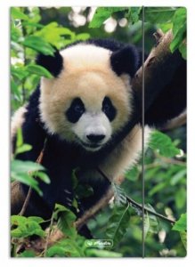 Teczka rysunkowa A4 z gumką ANIMALS Panda Herlitz (80501)