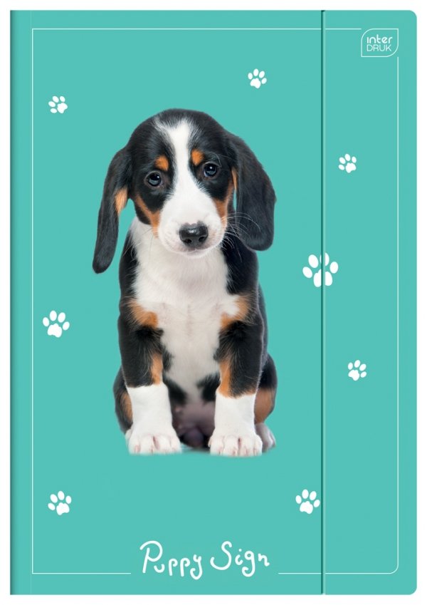 2x Teczka rysunkowa A4 z gumką PIESEK Puppy Sign (15406SET2CZ)