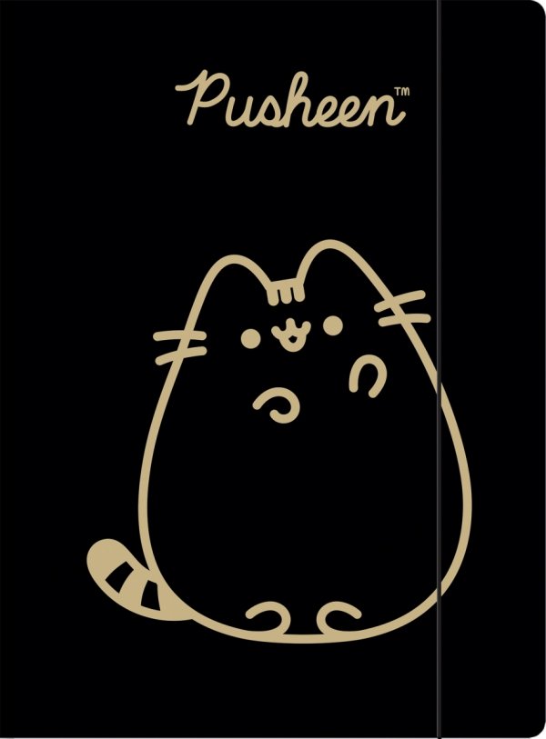 Teczka rysunkowa A4 z gumką PUSHEEN GOLD Kot Kotek (75171)