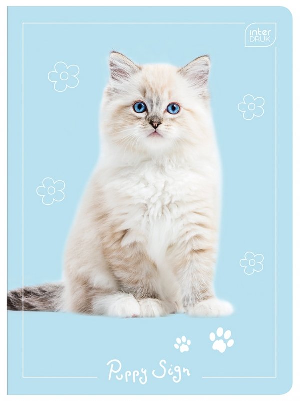 4x Zeszyt A5 w kratkę 16 kartek Puppy Sign mix (26921SET4)