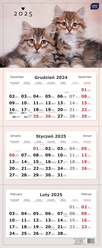 Kalendarz ścienny trójdzielny KOTY 2025 (58646)