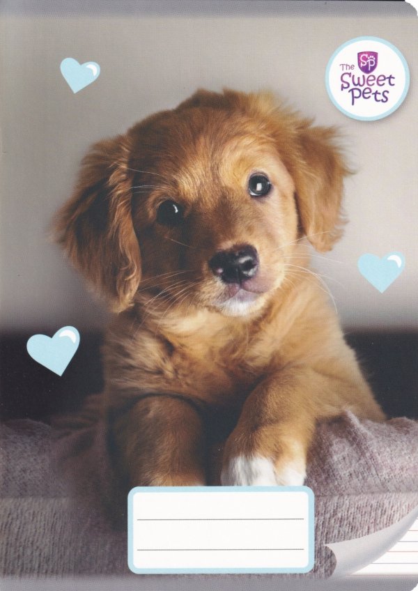 Zeszyt A5 w kolorową linię 16 kartek THE SWEET PETS PIESEK KOTEK (12689)