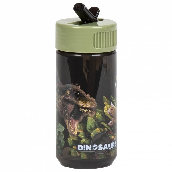 Zestaw bidon i śniadaniówka w kartoniku DINOZAURY (ZSBADN18)