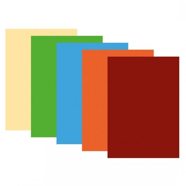 Papier ksero kolorowy A4  5 intensywnych kolorów 100 arkuszy (14065)