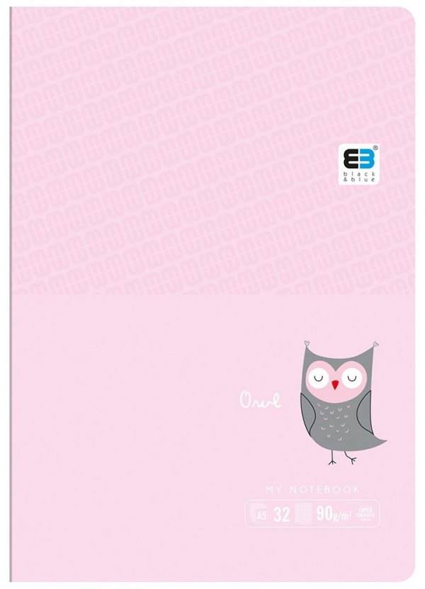 Zeszyt A5 w kolorową linię 16 kartek B&amp;B OWL sowa (55563)