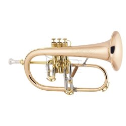 C.G. CONN flugelhorn B 1 FR Vintage One