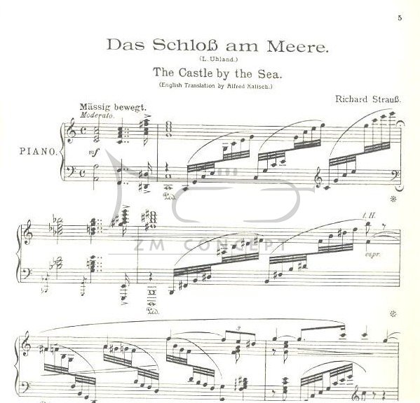 Strauss, Richard: Das Schloss am Meere, na fortepian (DT/EN)