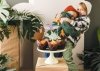 Toppery na tort Dinozaury, 8-12 cm, mix (1 karton / 40 op.) (1 op. / 6 szt.)