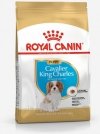 Royal Canin Cavalier King Charles Puppy 1,5kg