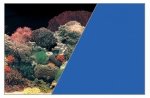ZOLUX Tło akwariowe 50x80cm koralowiec^niebieski