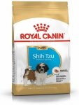Royal Shih Tzu Puppy 1,5kg