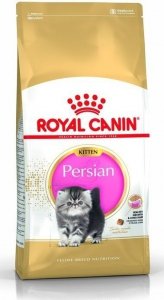 Royal Persian Kitten 2kg