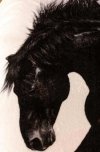 Koc Cotton World Touch Animal 160x200