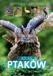 Atlas ptaków. 250 polskich gatunków