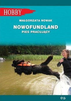 Nowofundland. Pies pracujący