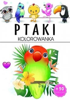 Ptaki. Kolorowanka
