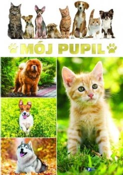 Mój pupil - stan outletowy