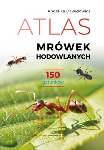 Atlas mrówek hodowlanych. 150 gatunków, Angelika Dawidowicz