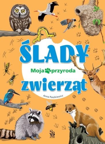 Moja przyroda. Ślady zwierząt, Anna Paszkiewicz