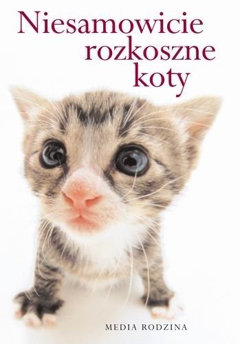 Niesamowicie rozkoszne koty